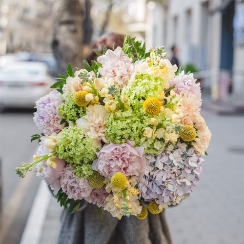 Stellar_Stems_Gallery_500x500-11