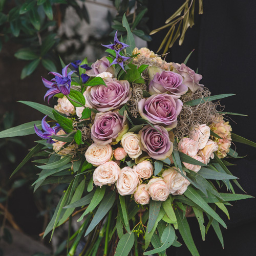 Stellar_Stems_Gallery_500x500-6