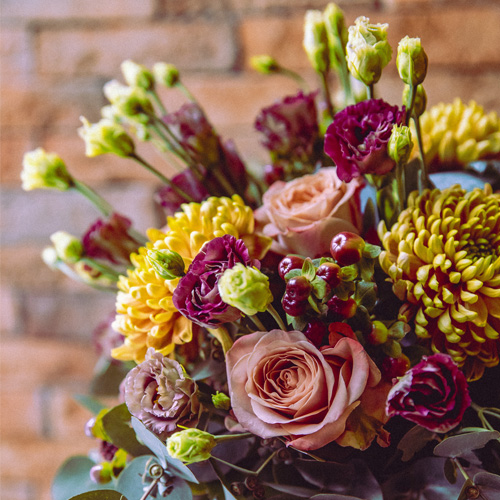 Stellar_Stems_Gallery_500x500-9